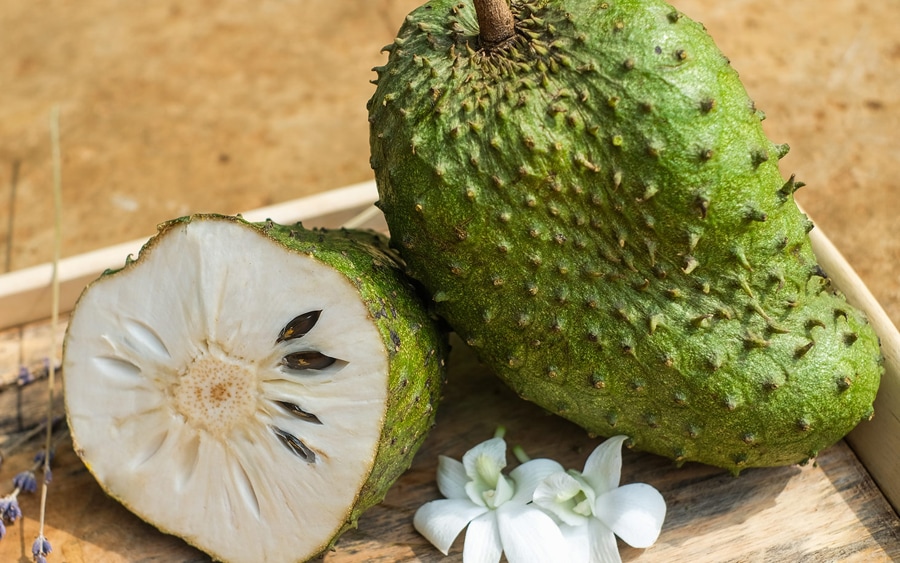 Annona muricata, also known as soursop or graviola