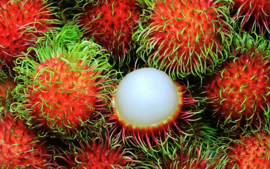 Rambutan is a tropical fruit