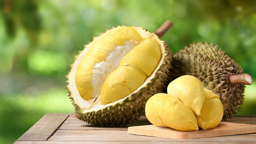 Sau Rieng, or the tropical fruit known as Durian