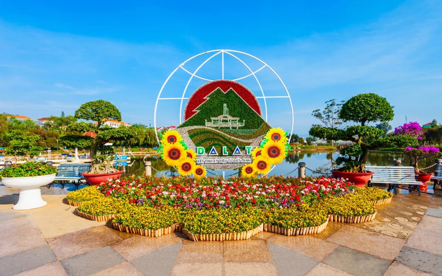 Da Lat Flower