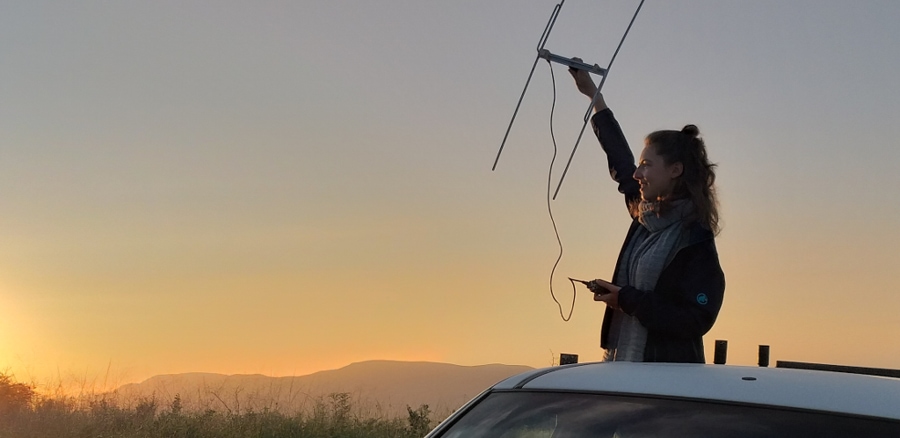 Purpose-Driven Travel