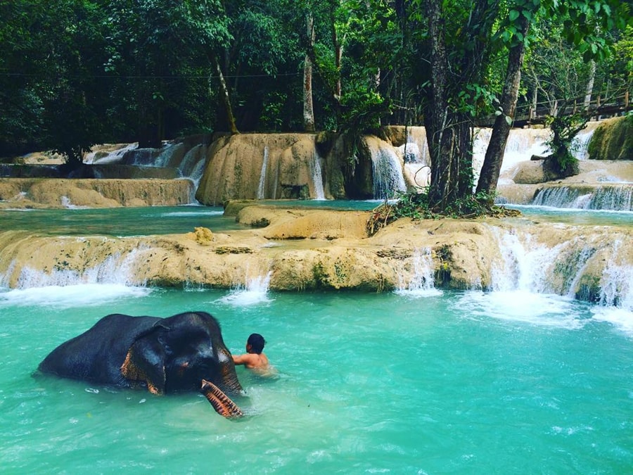 one of the most popular activities at Tat Sae Waterfalls is swimming