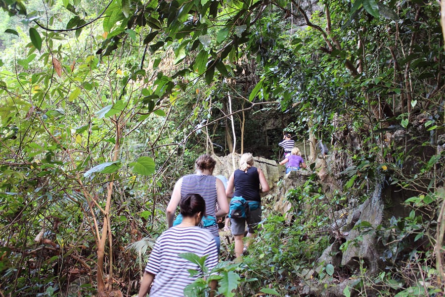 Cat Ba National Park open daily