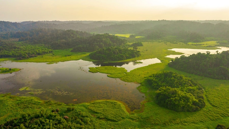 Cat Tien National Park is one of the best-known natural wonders in Vietnam
