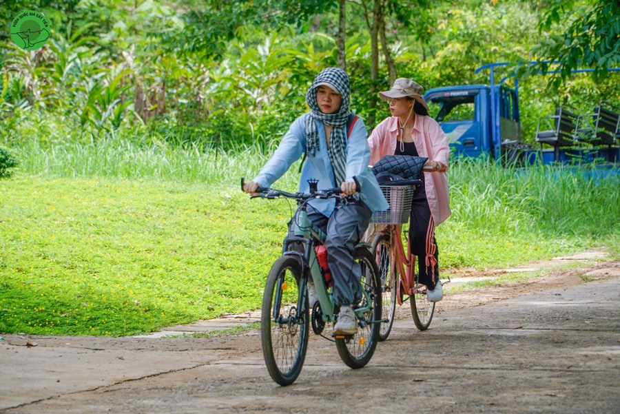Cycle Through Forest Paths