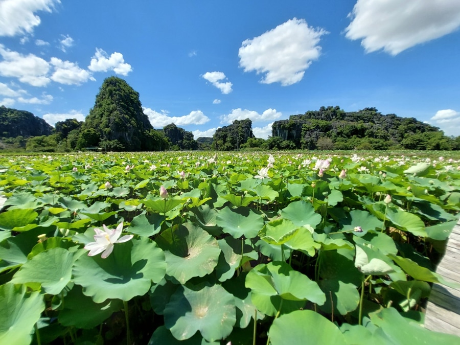 Lotus Pond Area at the foot of Lying Dragon Mountain