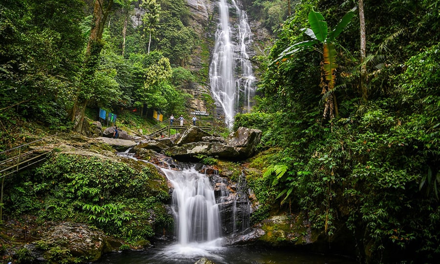 Pu Mat National Park is one of the largest protected areas in central Vietnam