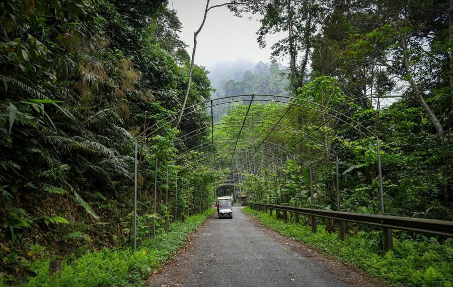 Pu Mat National Park operates throughout the year