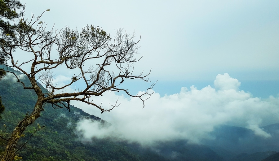 Rung Rinh Peak