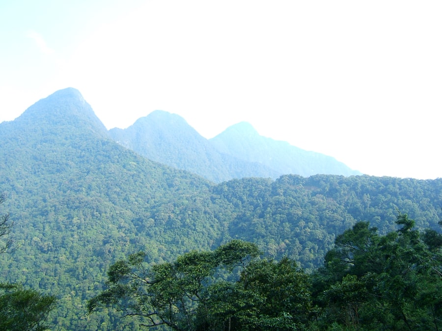 Tam Dao National Park is a scenic mountain retreat