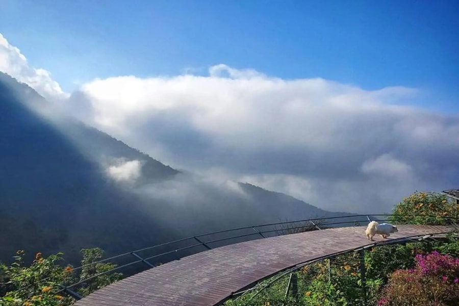 Tam Dao Town And Cloud Hunting Viewpoints
