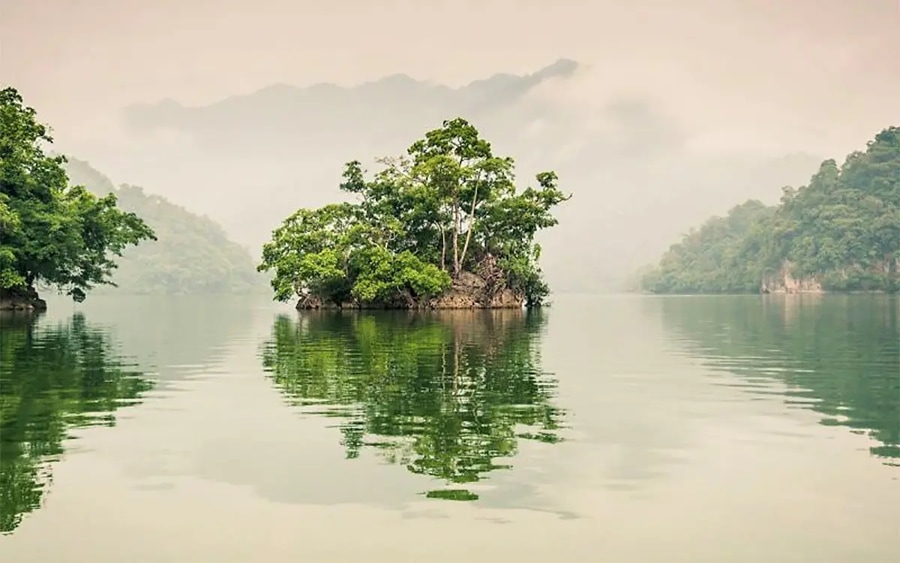 Widow Island