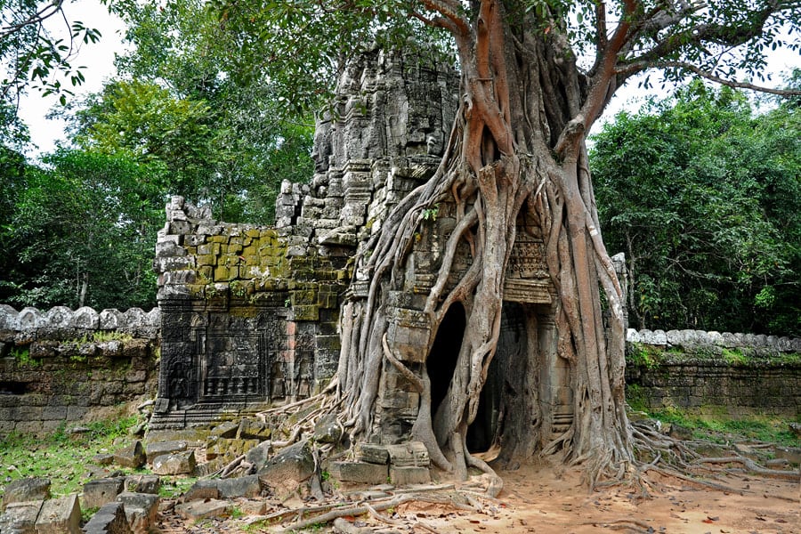 Eastern Gopura (Tree-Root Gate)