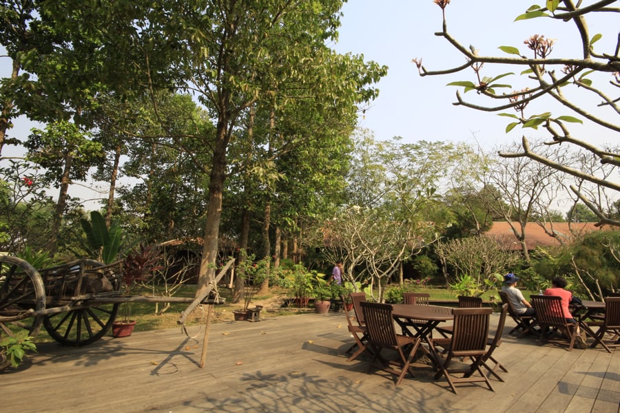 Mulberry Plantation Area