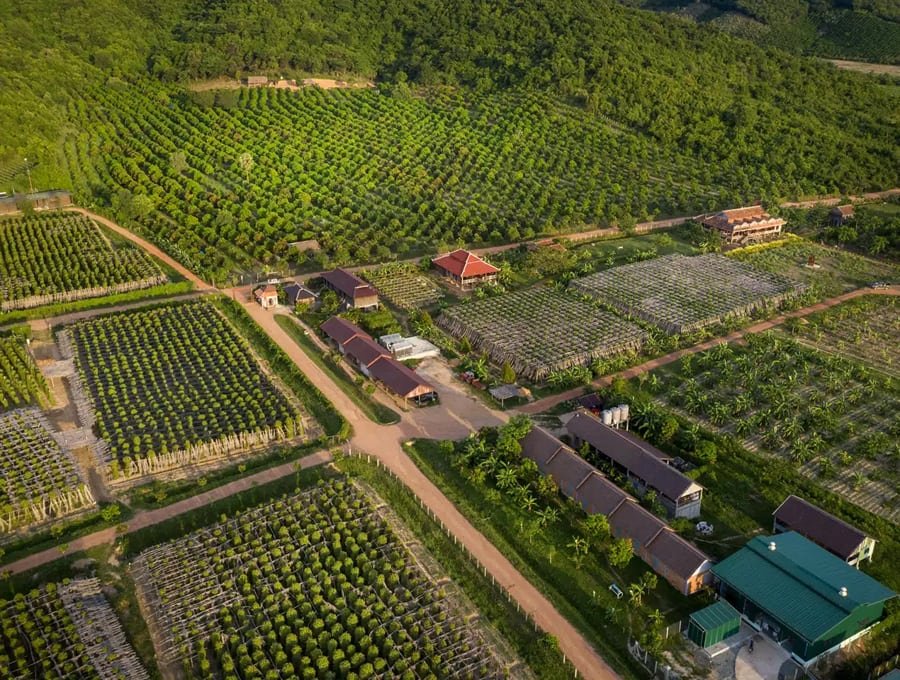 pepper farm kampot