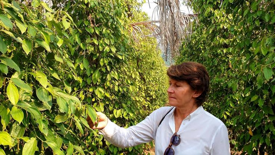 Join A Guided Farm Tour