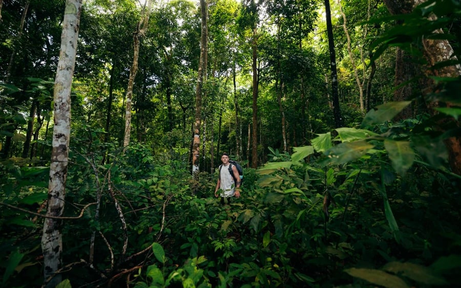 Koh Tonsay Jungle Walking Trail