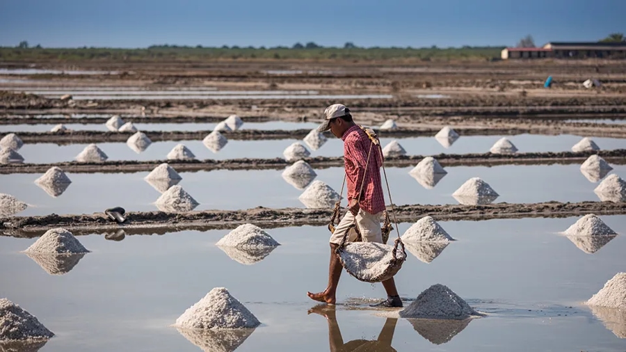 Watch the Traditional Process of Salt Harvesting